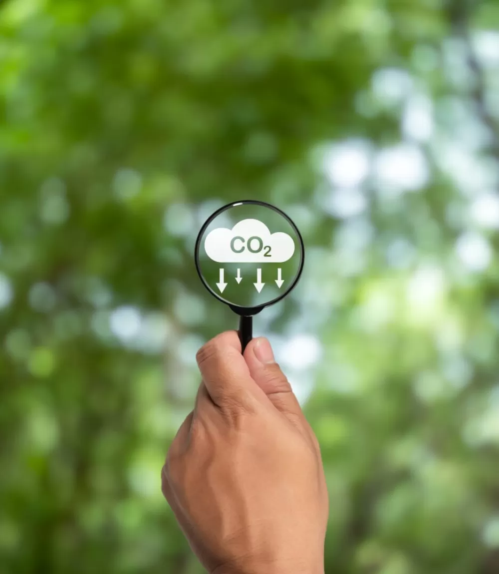 A clean and friendly environment without carbon dioxide emission A clean and friendly environment without carbon dioxide emissions, Hand holding magnifying glass with CO2 reduction icon inside, carbon credit to limit global warming from climate change, carbon neutral.