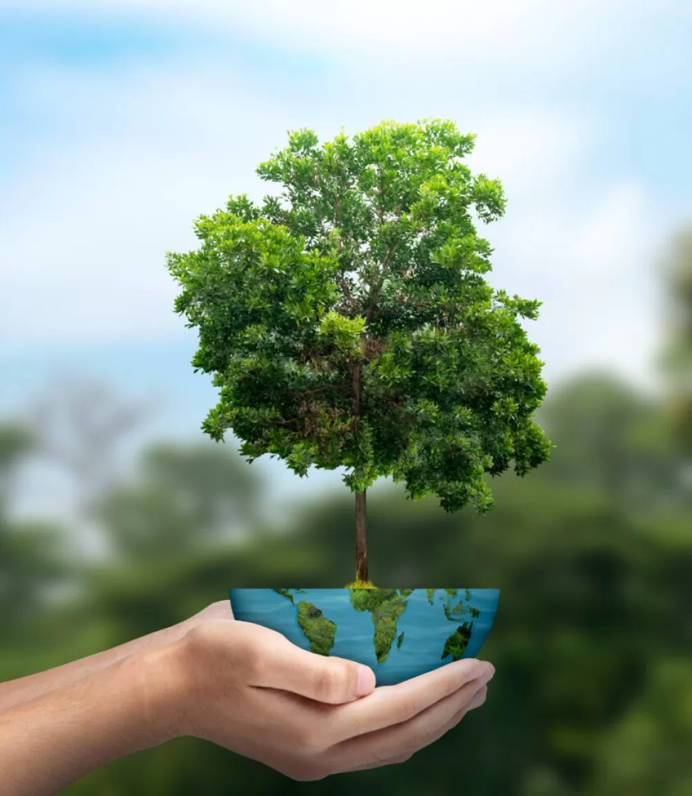 A human hand holding a globe with a growing plant A human hand holding a globe with a growing plant on a blue sky background. Earth day concept